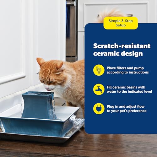 Cat and Dog Water Fountain