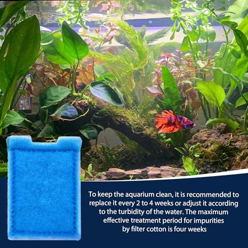 Fish Tank Rite (8 Count)
