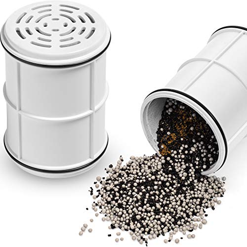 Chlorine Shower Water Filter