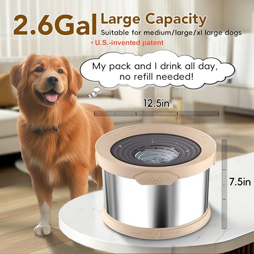 10L Dog Water Bowl No Spill Stainless Steel for Slow Drinking Beige