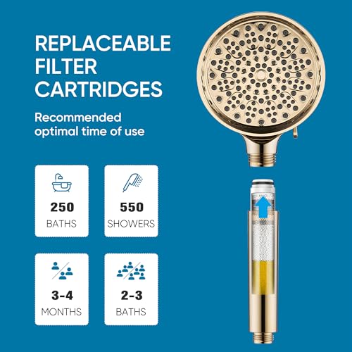 Filtered Shower Head with Handheld