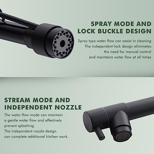 Dual Spout Black Kitchen Sink Faucet with Pull Down Sprayer