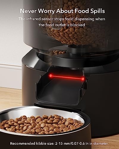 Automatic Cat Feeder