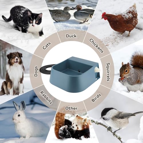 Automatic Water Dispenser for Dogs with Heater