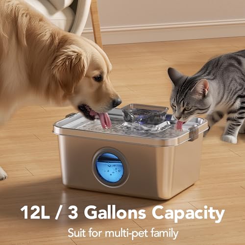 Dog Water Fountain