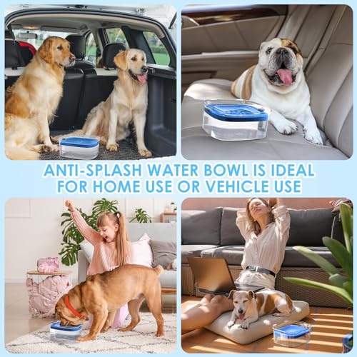 3L No Spill Dog Water Bowl with Slow Drinking Disk