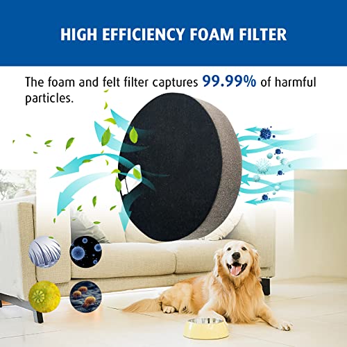 6 Pack Filter Replacement Compatible with Bissell 3070 (6 Count)