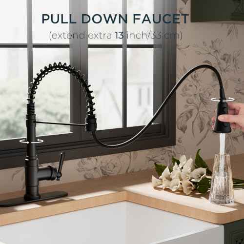 Vintage Black Kitchen Faucet with Pull Down Sprayer