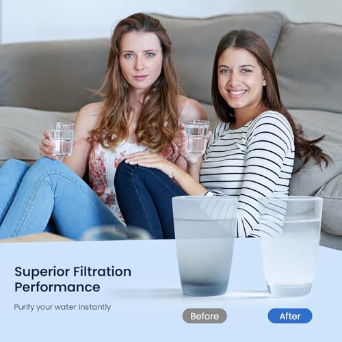Water Bottle Filter Compatible with Brita Sport BB06 (6 Count)