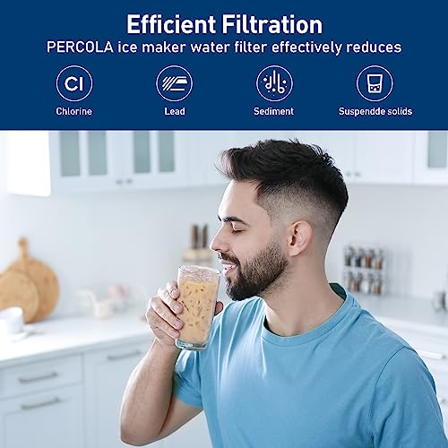 HF20-S/HF20-MS/HF25-S Water Filter, W/Scale Inhibitor, 2-Pack (2 Count)
