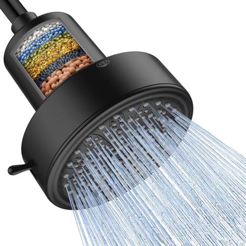Filtered Shower Head
