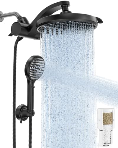 Filtered Shower Head with Handheld