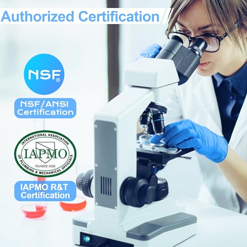 NSF ANSI 42&372 Certified Water Filter (2 Count)