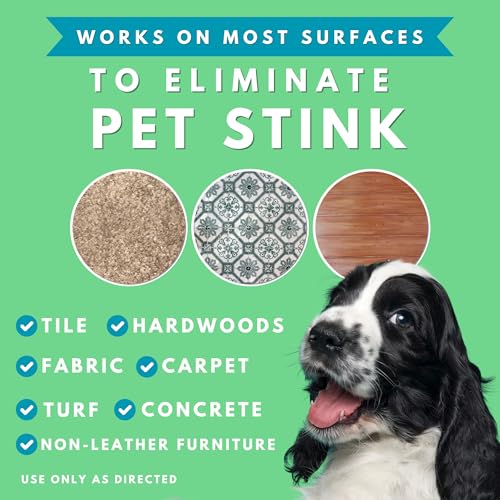 All Natural Stain & Urine Odor Eliminator Pet Enzyme Cleaner. Makes 1 Gallon. Dog & Cat Pee Smell Remover. Best Spray for Carpet (128 Fl Oz)