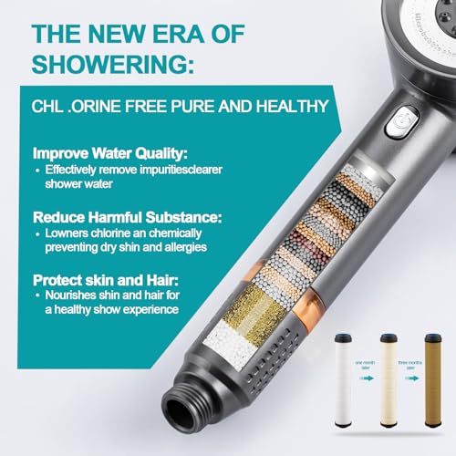 Shower Head with Handheld