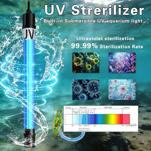 Large Aquarium U