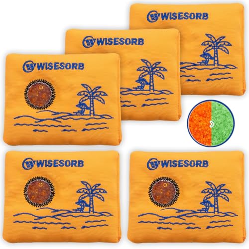 100g x 5 Pack Reusable Desiccant Packs for Storage (5 Count)
