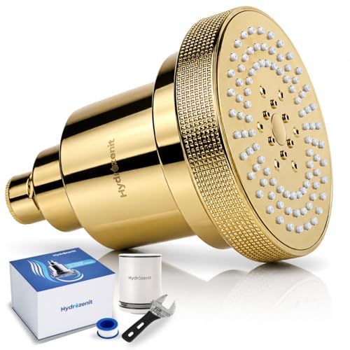 Filtered Shower Head Gold