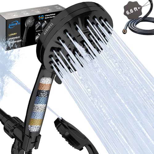 Filtered Shower Head with Handheld