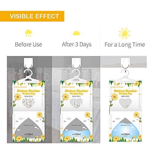 Hanging Moisture Absorber