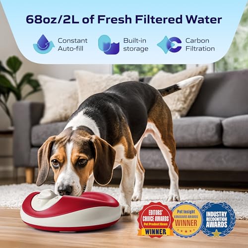 Mini Portable Filtered Water Bowl for Cats & Small Dogs