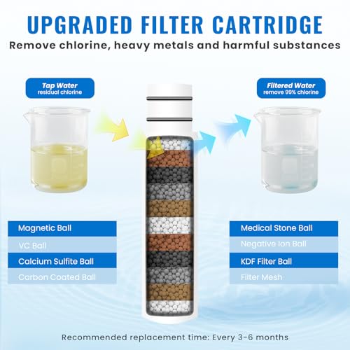 Filtered Shower Head with Handheld