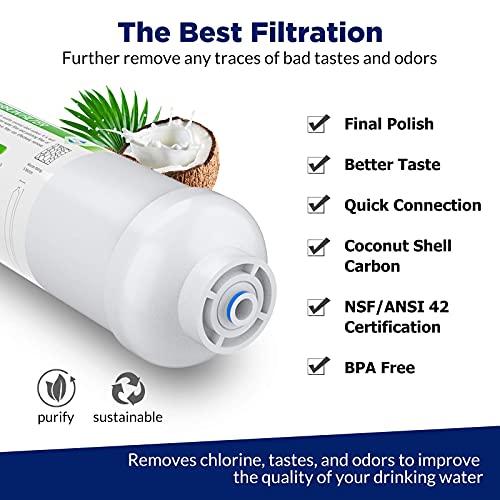T33 Inline Post Carbon Water Filter 1 (2 Count)