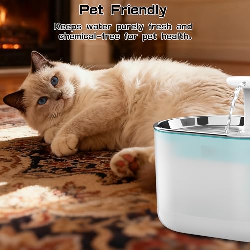 Cat Water Fountain Filters