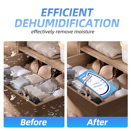 25 Gram Moisture Absorbers