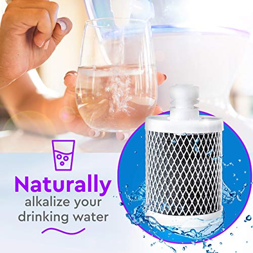 OPTI 200 Gallon Alkaline Replacement Filter for Drop and Flex Systems