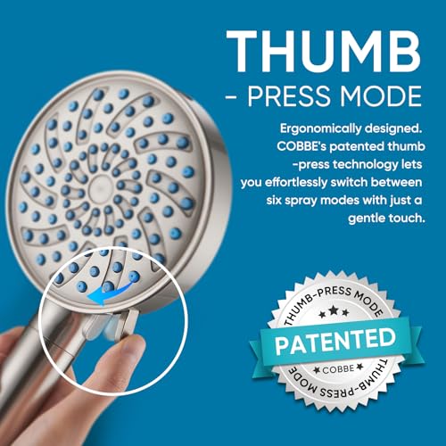 Filtered Shower Head with Handheld