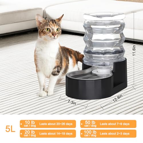 5L Filtered Cat Water Dispenser