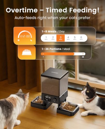 Automatic Cat Feeder for 2 Cats Pets