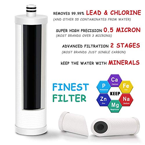 FZ 2 Replacement Filter Cartridge for MP99