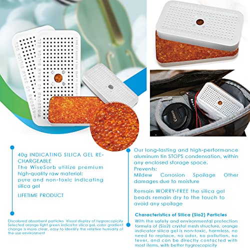 100 Gram Indicating Silica Gel Canister (10 Count)