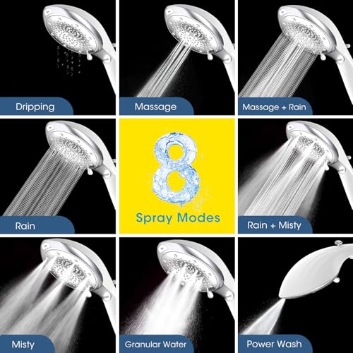 Filtered Shower Head with Handheld