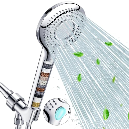 Filtered Shower Head with Handheld