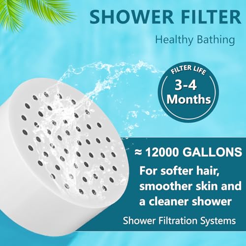 Filter compatible with Brondell FF
