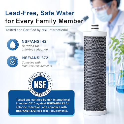 Upgraded] LCF Alkaline Replacement Filter (2 Count)