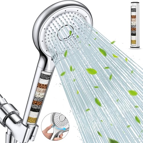 Filtered Shower Head with Handheld