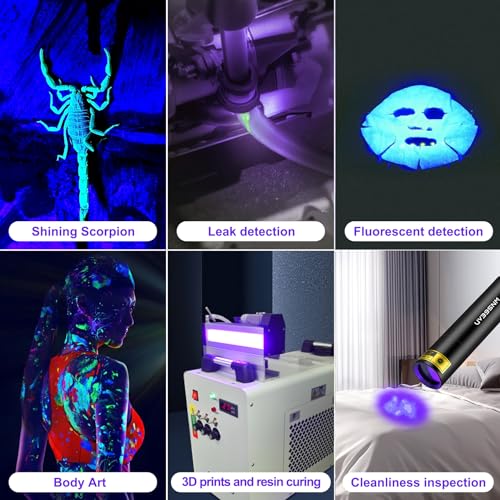 UV Flashlight Black Lights Wood’s Lamp Powerful Mini Portable