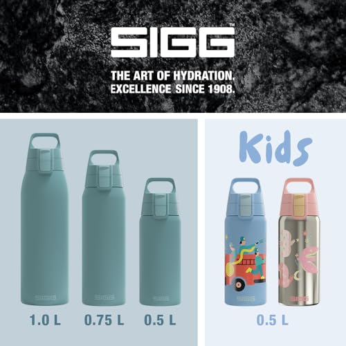 Insulated Water Bottle