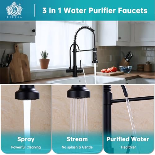 Commercial 3 in 1 Spring Black Kitchen Faucet