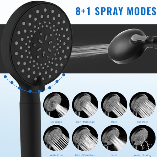Filtered Shower Head with Handheld
