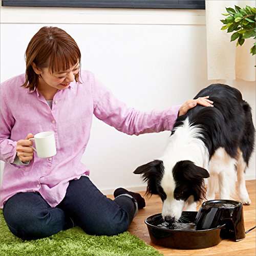 Pioneer Ceramic Drinking Fountain Big Max