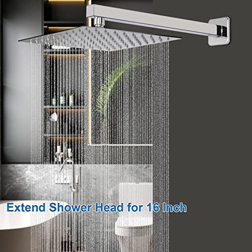 Shower Head with Extension Arm