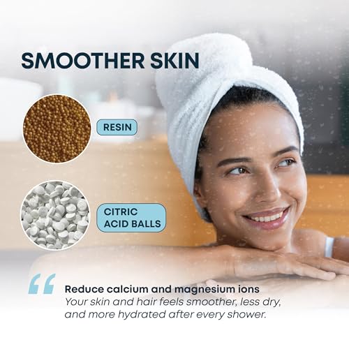 Shower Head Filter (2 Count)