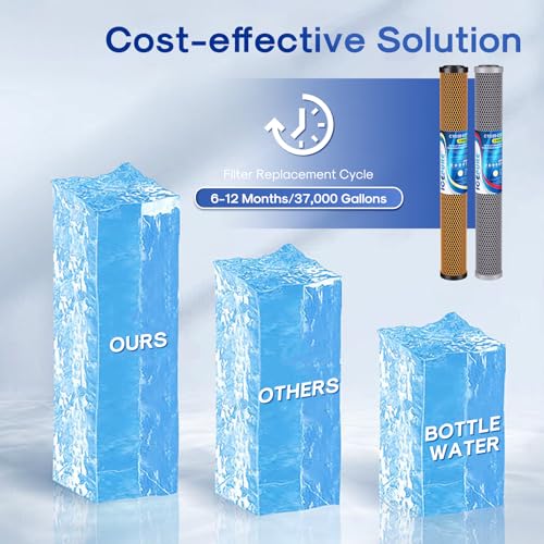 2.5"x 20" Whole House Water Filter (2 Count)