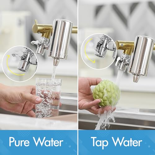 Gold Kitchen Faucet with Water Filter