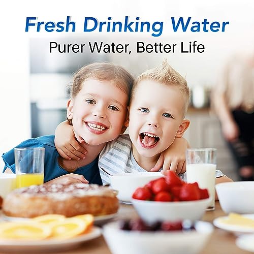 Pitcher Water Filter Replacement for Brita® Standard Water Filter (6 Count)